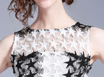 Robe Dentelle Mode | Infinie Dentelle